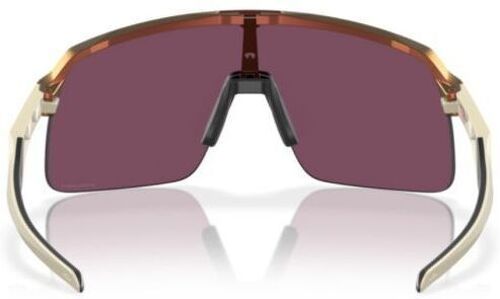 OAKLEY-Sutro Lite (Prizm )-2