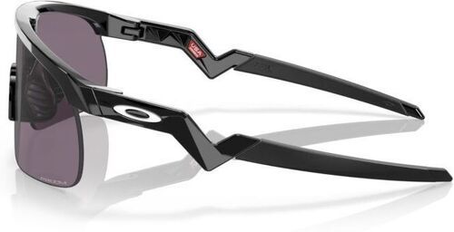 OAKLEY-Resistor (Prizm )-2