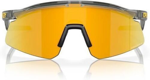 OAKLEY-Hydra Ink (Prizm 24K)-1