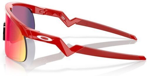 OAKLEY-Resistor (Prizm Road)-2