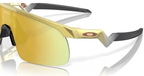 OAKLEY-Resistor-1