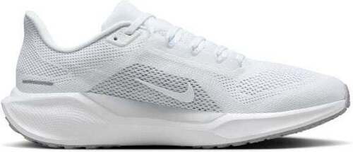 NIKE-Pegasus 41-1