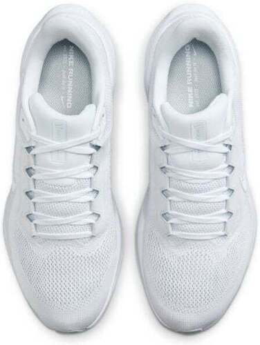 NIKE-Pegasus 41-4