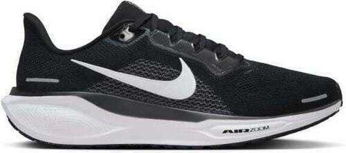 NIKE-Pegasus 41-0