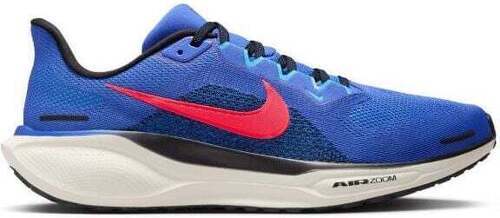 NIKE-Pegasus 41-0