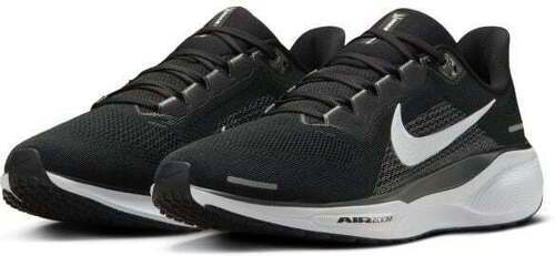 NIKE-Pegasus 41-2