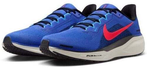 NIKE-Pegasus 41-3