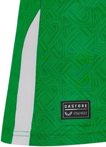 Castore-Castore Domicile Irlande 2024-2025-4