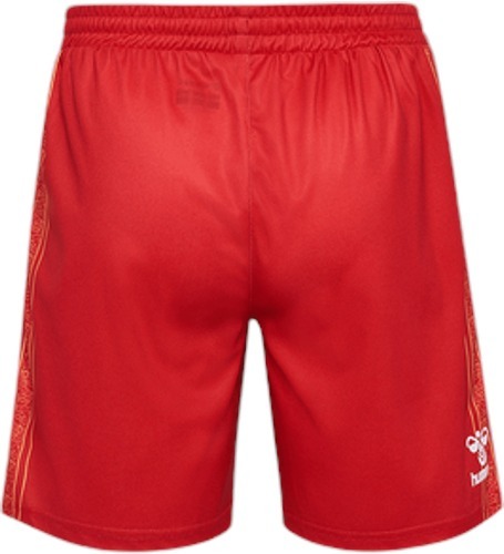 HUMMEL-1. FC Köln Karneval short 2023/2024-1