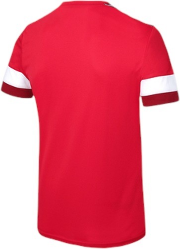 HUMMEL-1. FC Köln training maillot 2023/2024-1