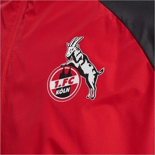 HUMMEL-1. FC Köln Tr Pro veste 2024/2025-2