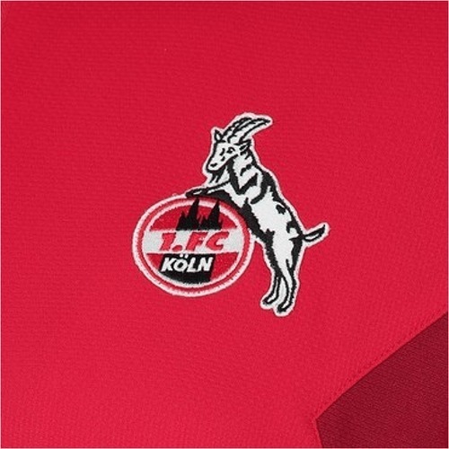 HUMMEL-1. FC Köln veste d'entrainement 2023/2024-2