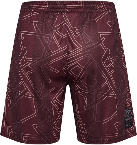 HUMMEL-Danemark x Halo short 2024-1