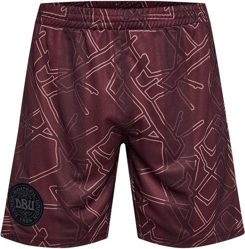 HUMMEL-Danemark x Halo short 2024-0