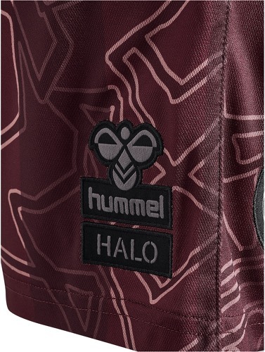 HUMMEL-Danemark x Halo short 2024-3