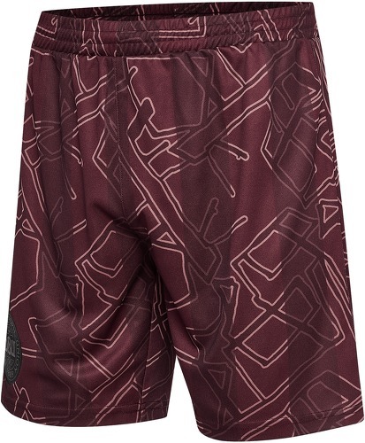 HUMMEL-Danemark x Halo short 2024-4