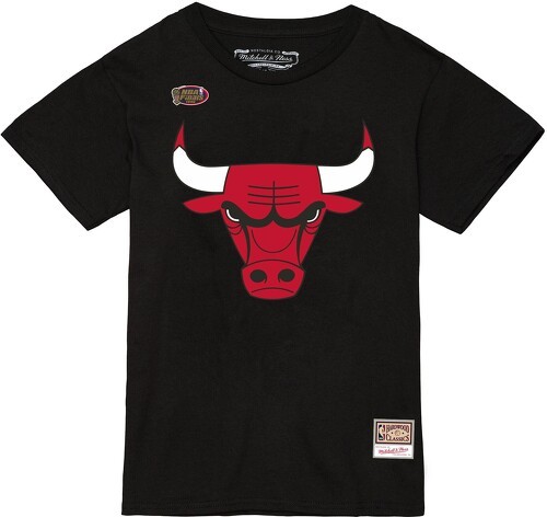 Mitchell and Ness,NBA-T-shirt Chicago Bulls NBA Team Logo-0