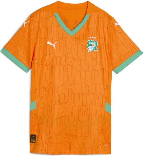 PUMA-Maillot Côte d’Ivoire 2025 Domicile Femme-0