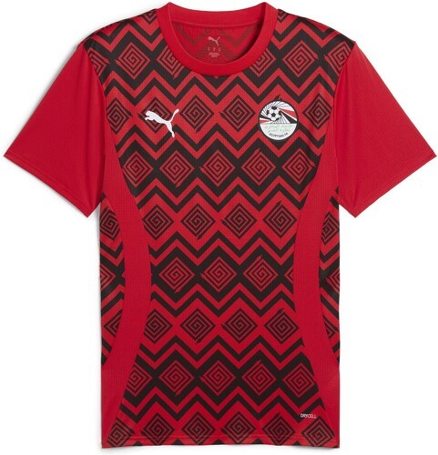 PUMA-Maillot d'avant match Égypte Homme-0