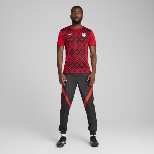 PUMA-Maillot d'avant match Égypte Homme-2