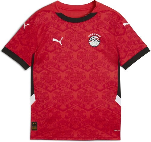 PUMA-Maillot Égypte 2025 Domicile Enfant et Adolescent-0