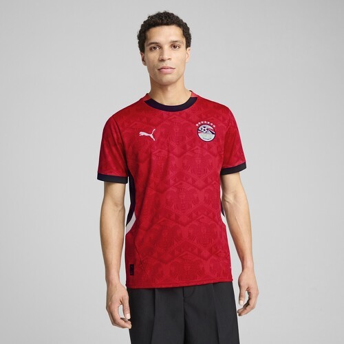 PUMA-Maillot Égypte 2025 Domicile Homme-2