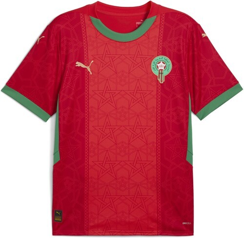 PUMA-Maillot Maroc 2025 Domicile Homme-0