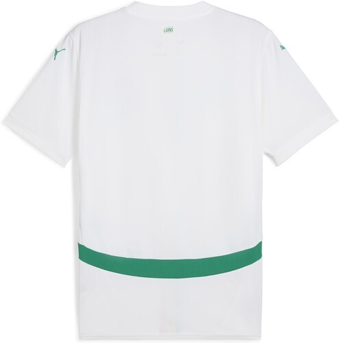 PUMA-Maillot Sénégal 2025 Domicile Homme-1