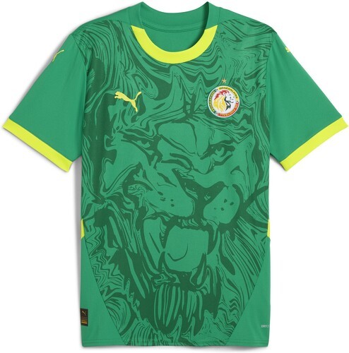 PUMA-Maillot Sénégal 2025 Extérieur Homme-0