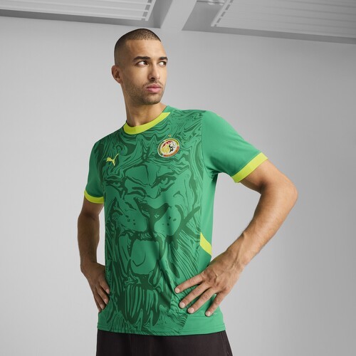 PUMA-Maillot Sénégal 2025 Extérieur Homme-3