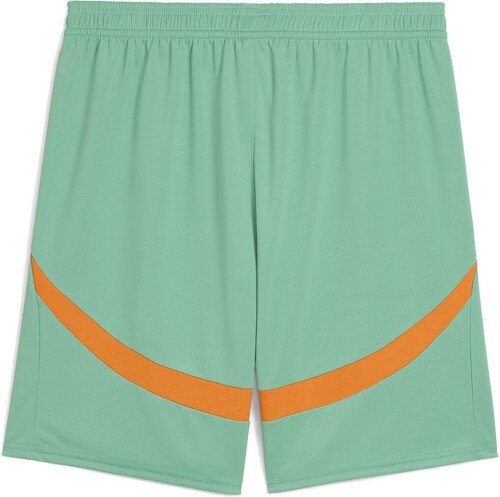 PUMA-Short Côte d’Ivoire 2025 Homme-1