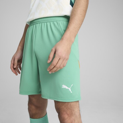 PUMA-Short Côte d’Ivoire 2025 Homme-4