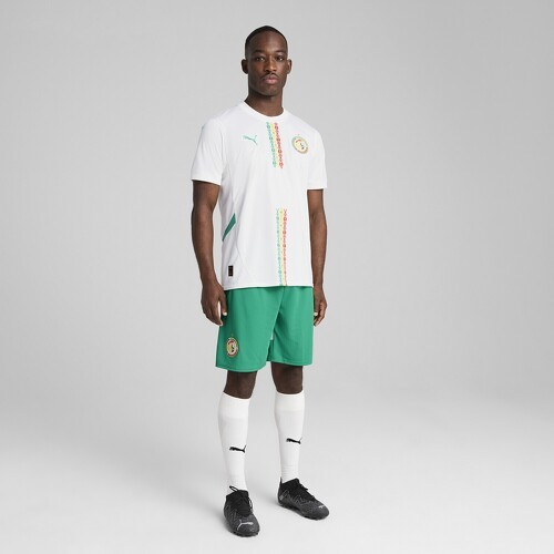 PUMA-Short Sénégal 2025 Homme-2