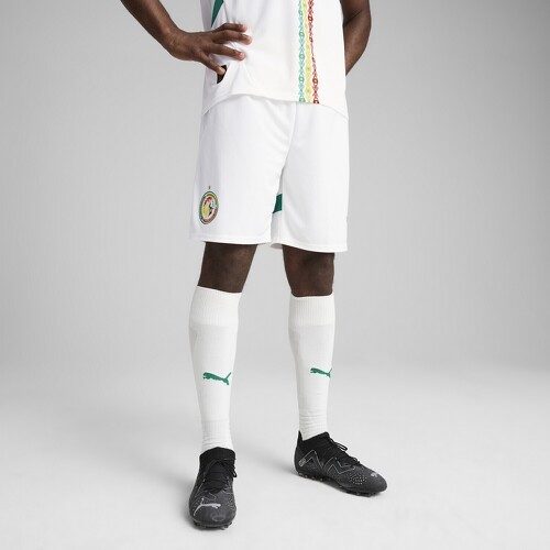 PUMA-Short Sénégal 2025 Homme-3