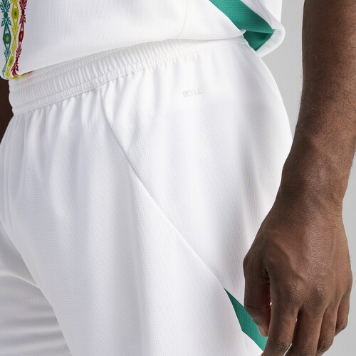 PUMA-Short Sénégal 2025 Homme-4