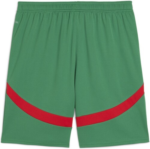 PUMA-Shorts de match Maroc 2024-0