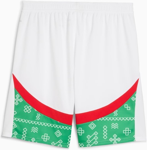 PUMA-Short match Maroc 2024/25-1