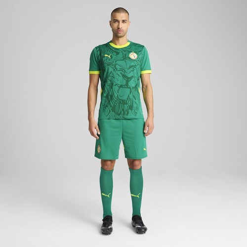 PUMA-Short Sénégal 2025 Homme-2