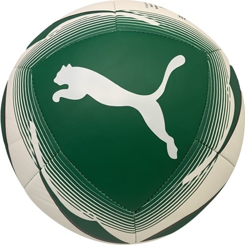 PUMA-SK Rapid Wien Icon mini ballons-1