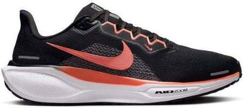 NIKE-Pegasus 41-0