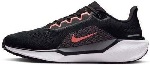 NIKE-Pegasus 41-1