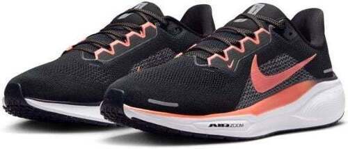 NIKE-Pegasus 41-3