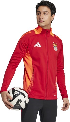 adidas-Veste de survêtement training Benfica Lisbonne Tiro Competition 2024/25-2