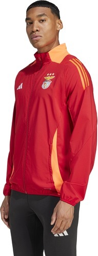 adidas-Veste de présentation Benfica Lisbonne Tiro 2024/25 Competition-3