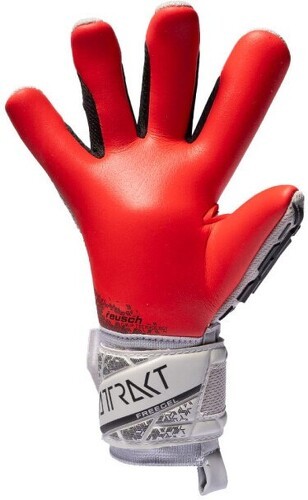 REUSCH-Reusch Enfant Attrakt Freegel Silver-2