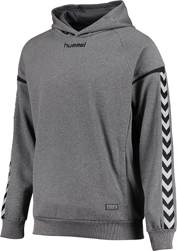 HUMMEL-AUTHENTIC CHARGE POLY HOODIE-2