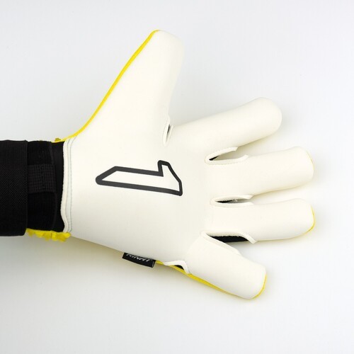 Rinat-Gants de gardien Rinat Aries Némesis Prime-2