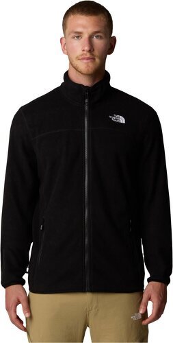 THE NORTH FACE-M 100 GLACIER FULL ZIP-0