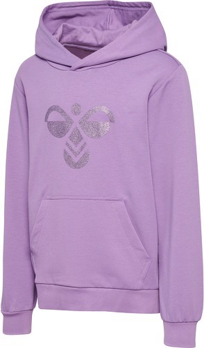 HUMMEL-Sweatshirt enfant Hummel hmlCUATRO-2