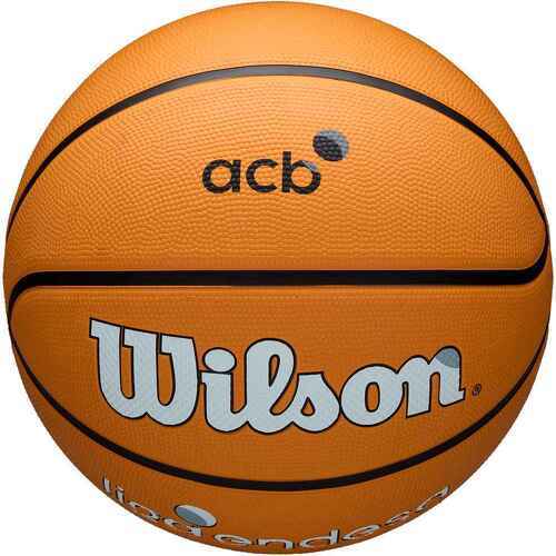 WILSON-ACB OUTDOOR BSKT 7-1